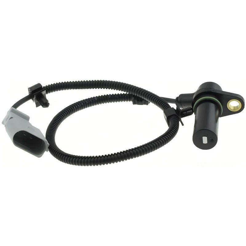 product-800-800 product-800-800